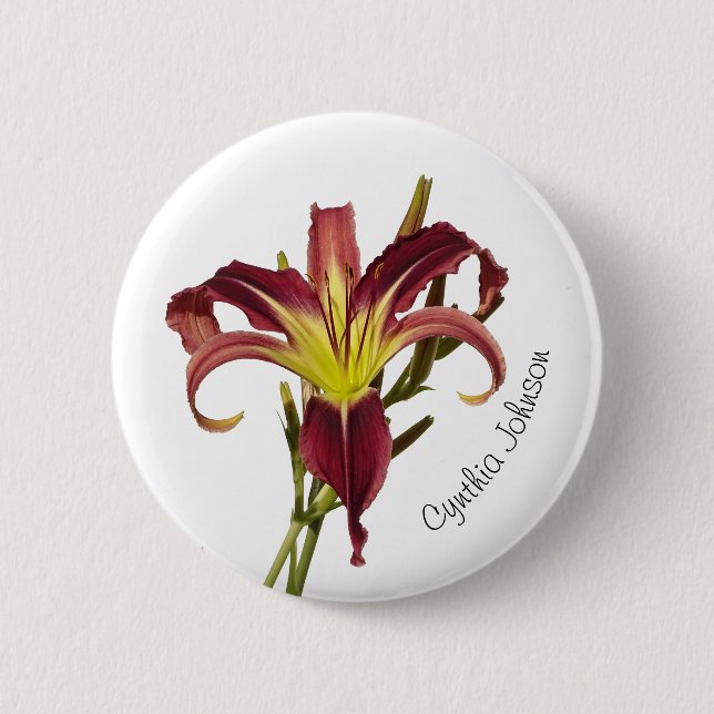 Daylisk blomma / Spider Lily / Burgundy & Gult / Knapp (Framsida)