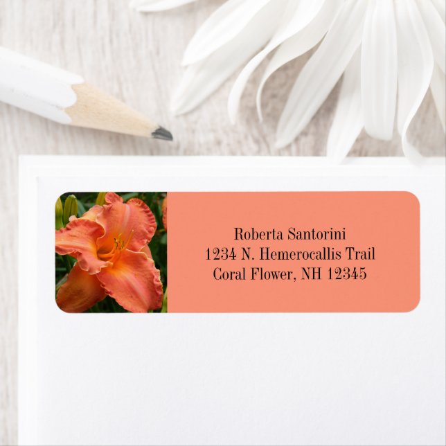 Dayliskt blommande Blommar / hemerocallis / koral Returadress Etikett (Insitu)