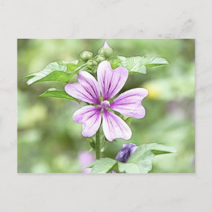Dayrast - Mallow Flower Vykort