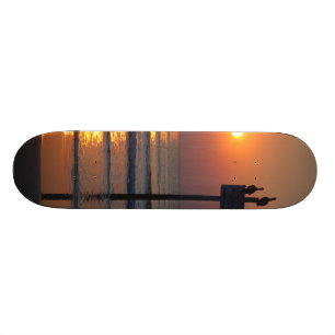 Daytona Beach FL för pelikansoluppgånghav Skateboard Bräda 20,5 Cm