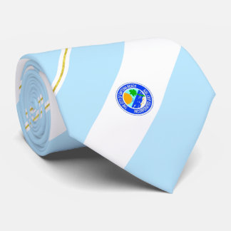 Daytona Beach (Florida) city flagga Neck Tie Slips