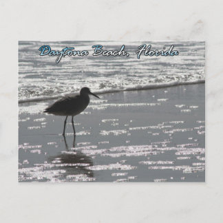 Daytona Beach-vykort Vykort