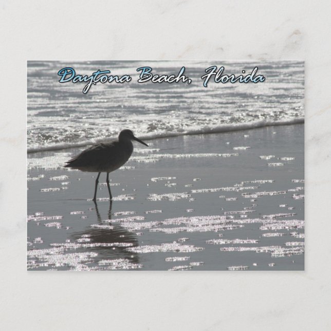 Daytona Beach-vykort Vykort (Framsida)