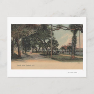 Daytona, Florida - View of Beach Street Vykort