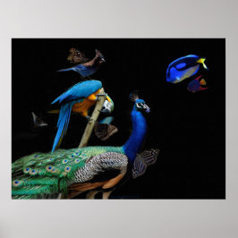 Dazzling Creatures Poster