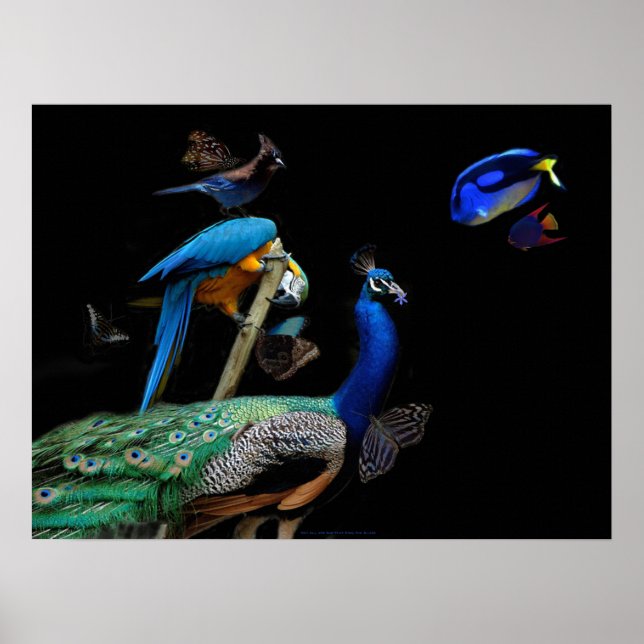 Dazzling Creatures Poster (Framsidan)