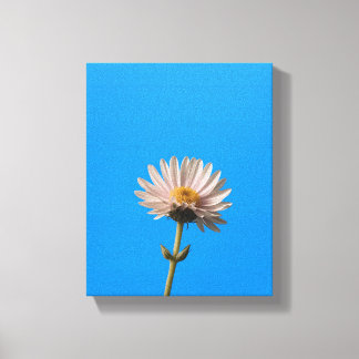 Dazzling Dream Canvastryck