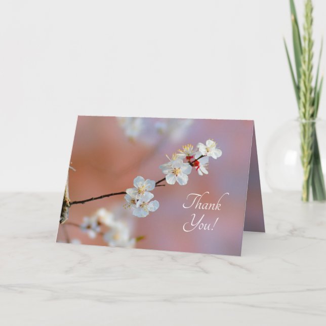 Dazzling Japanska Apricot-Blommar Tack Kort (Framsida)