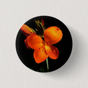 Dazzling Orchid Button Knapp
