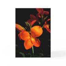 Dazzling Orchid Greeting Card