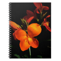 Dazzling Orchid Notebook