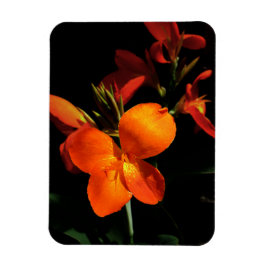 Dazzling Orchid Photo Magnet