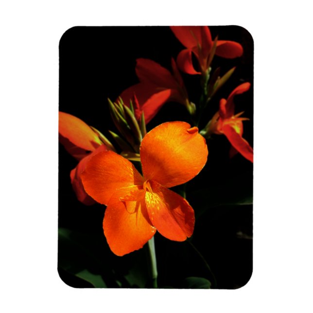 Dazzling Orchid Photo Magnet (Vertikal)