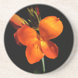 Dazzling Orchid Sandstone Underlägg
