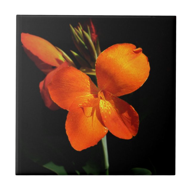 Dazzling Orchid Tile Kakelplatta (Framsidan)