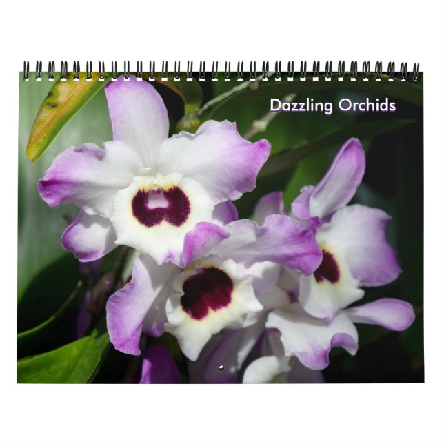 Dazzling Orchids Calendar Kalender (Omslag)