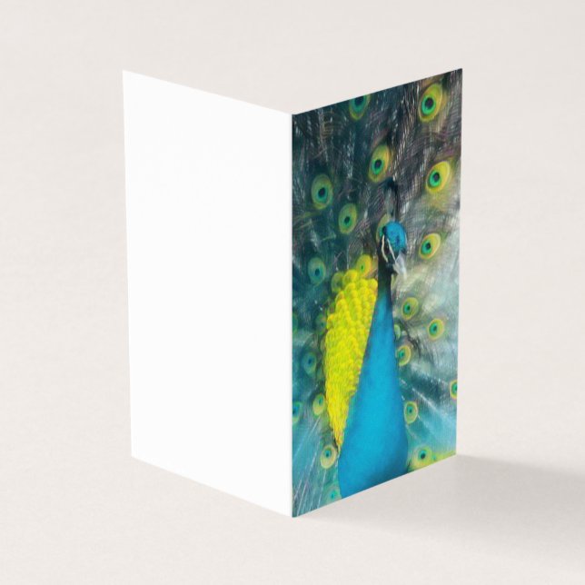 Dazzling Peacock - tom presentuppsättning märkre Kort (Utsida)