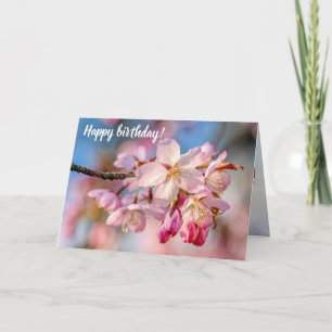 Dazzling Sakura Flowers. Beige och Blue Background Kort