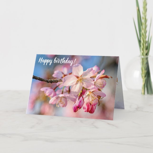 Dazzling Sakura Flowers. Beige och Blue Background Kort (Framsida)