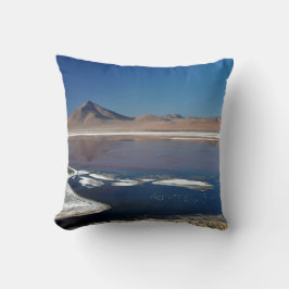 Dazzling Show: The Salar de Uyuni Lagoons Kudde