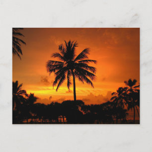 Dazzling Tropical Sunset Vykort