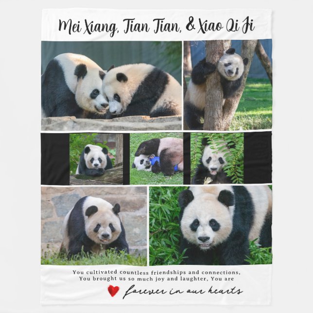 DC Giant Pandas "in our Hearts" Blanket Fleecefilt (Framsidan)