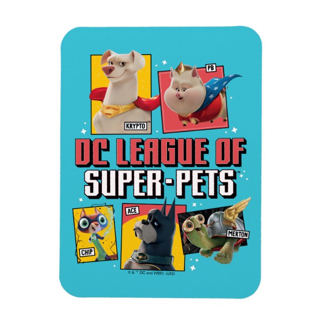 DC League of Toppen-Pets Character Panels Magnet (Vertikal)