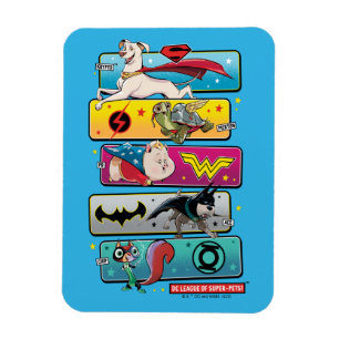DC League of Toppen-Pets Panels Magnet