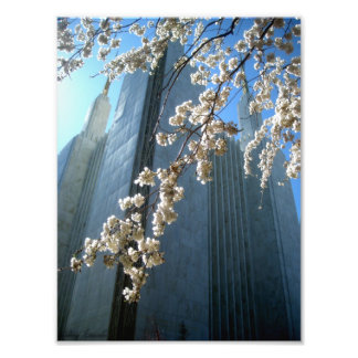 DC Temple Fototryck