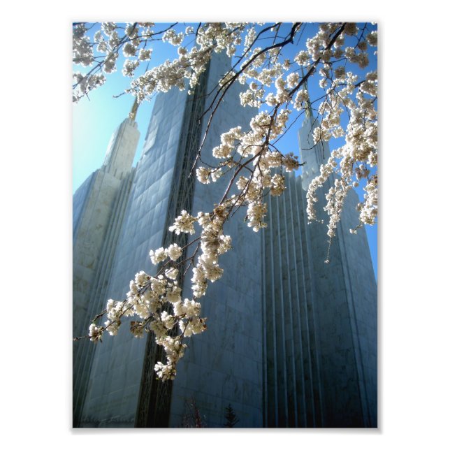 DC Temple Fototryck (Framsidan)
