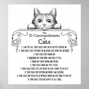 De 10 commandmentsna av roliga katter poster