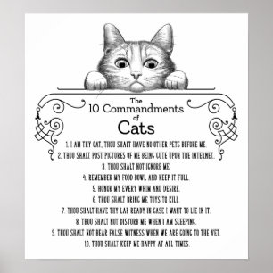 De 10 commandmentsna av roliga katter poster
