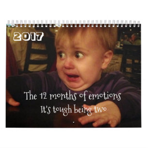 De 12 månaderna av känslor-småbarn problem. ROL Kalender