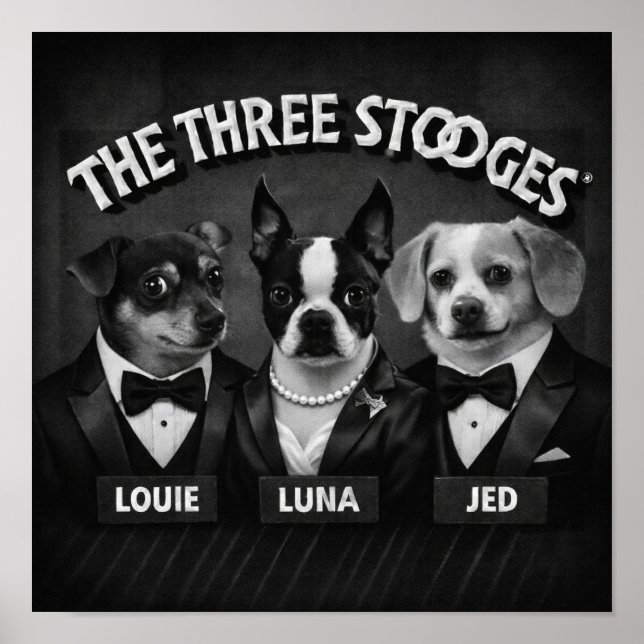"De 2 Dooges" Poster (Framsidan)