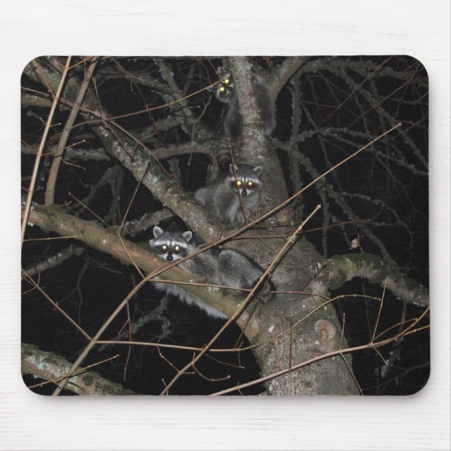 De 3 banditerna musmatta (Framsidan)