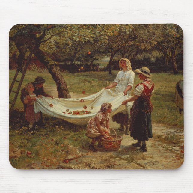 De Apple ihopsamlarearna, 1880 Musmatta (Framsidan)