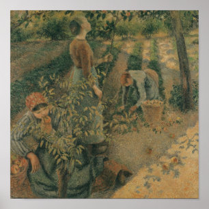 De Apple pickersna, 1886 Poster