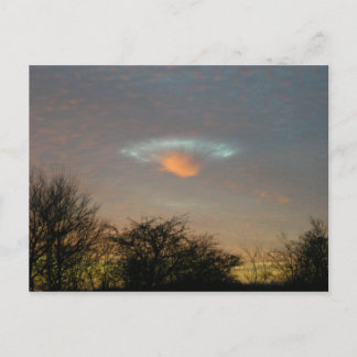 . . De är här! Vykort