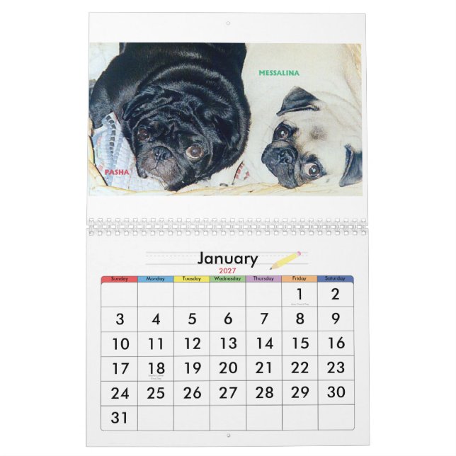 DE BÄST MOPSEN I VÄRLDEN KALENDER (Jan 2027)