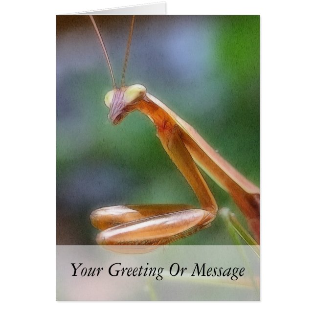 De bönande Mantis Hälsningskort (Framsidan)