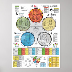 De fem Inslagen av akupunktur Poster 18 x 24 tum