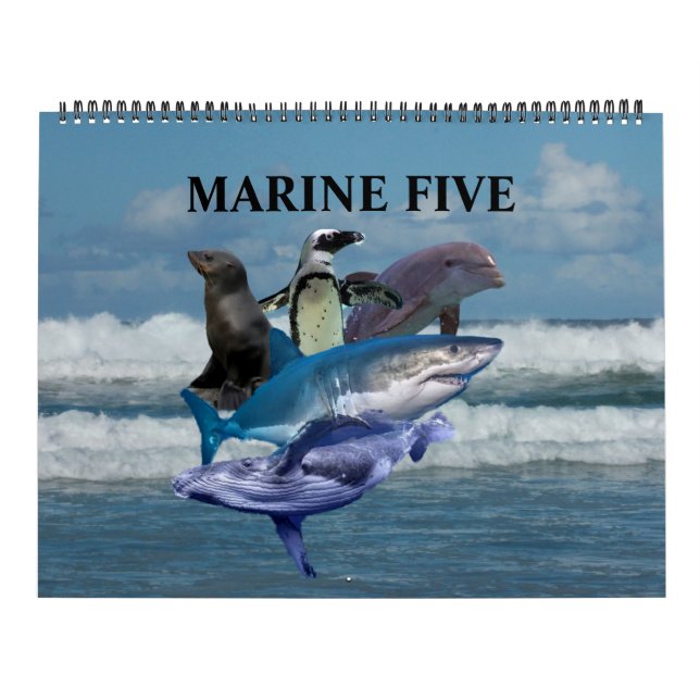 De fem marina kalender (Omslag)