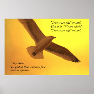 De flög poster