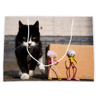 De Fubby's verstoppen zich voor de kat Ping.