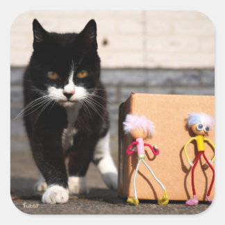 De Fubby's verstoppen zich voor de kat Ping. Fyrkantigt Klistermärke