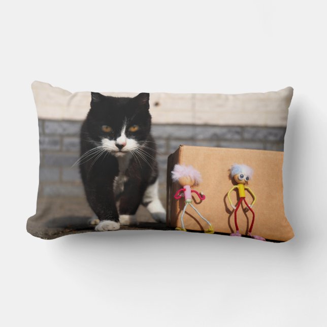 De Fubby's verstoppen zich voor de kat Ping. Lumbarkudde (Framsida)