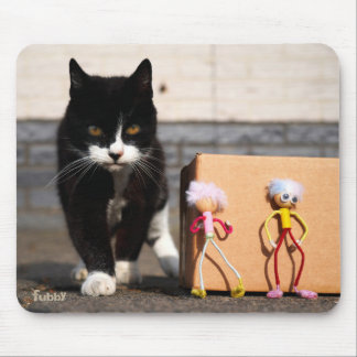 De Fubby's verstoppen zich voor de kat Ping. Musmatta