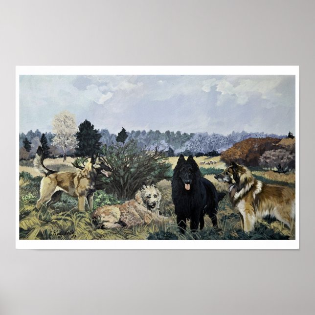 De fyra belgarna Poster (Framsidan)