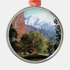 De fyra säsongerna julgransprydnad metall