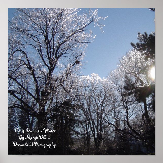De fyra säsongerna - Poster av vinter (Framsidan)